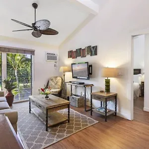 Apartment Gorgeous 2 Blocks From The Heart Of Maui, Lahaina